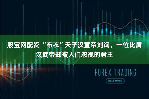 股宝网配资 “布衣”天子汉宣帝刘询，一位比肩汉武帝却被人们忽视的君主